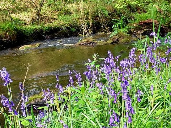 Ballyhoura Farm Escape Experience 16