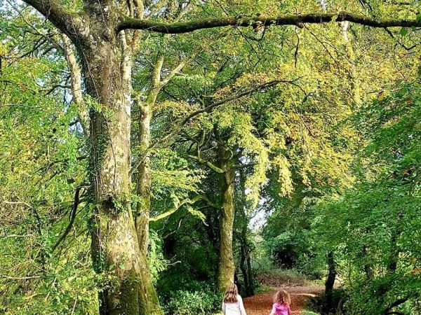 Ballyhoura Farm Escape Experience 3