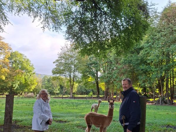 Ballyhoura Farm Escape Experience