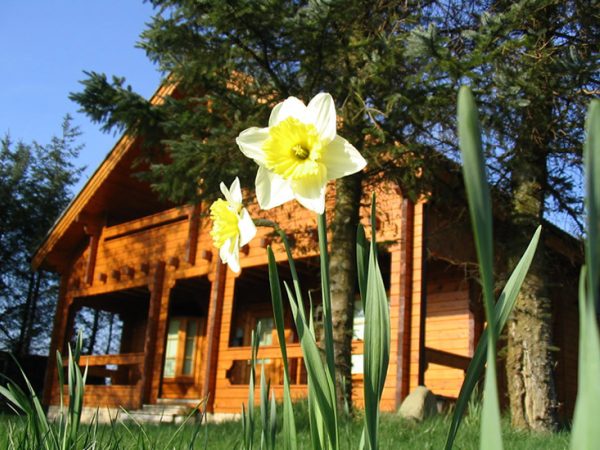 Bernards Log Cabins 2