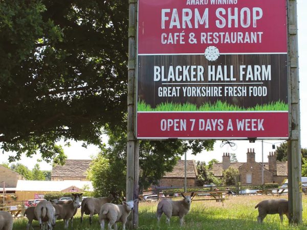 Blacker Hall Farm Shop 17