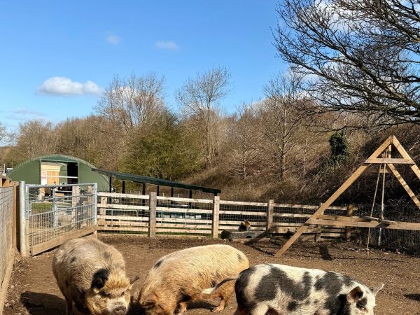 Blacker Hall Farm Shop 5