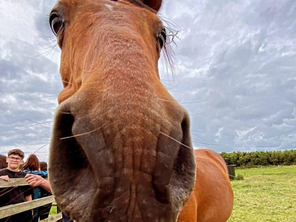 Blackwater Open Farm 3