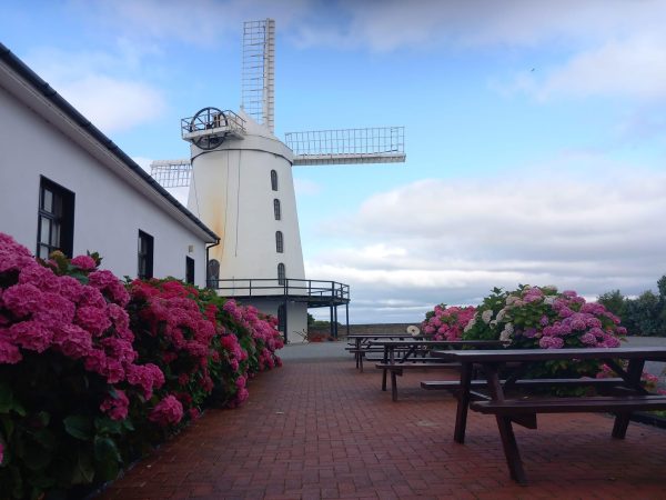 Blennerville Windmill 9
