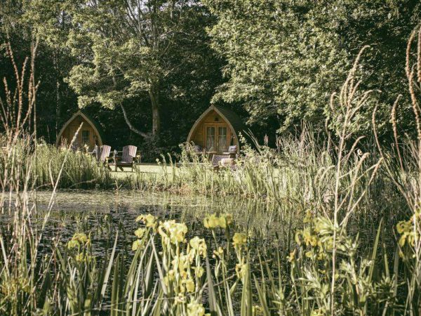 Bluebell Retreat Glamping 1