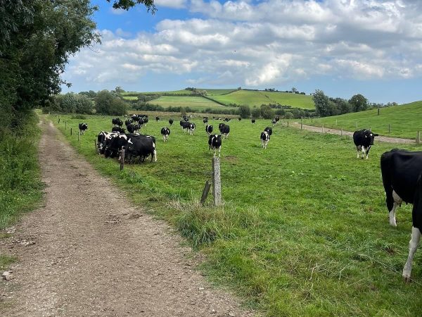 Brehon Brewery Farm Tours 10