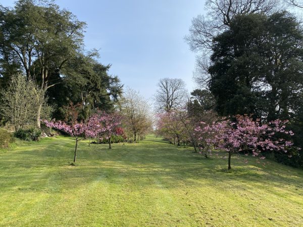 Brook Hall Estate Garden 12