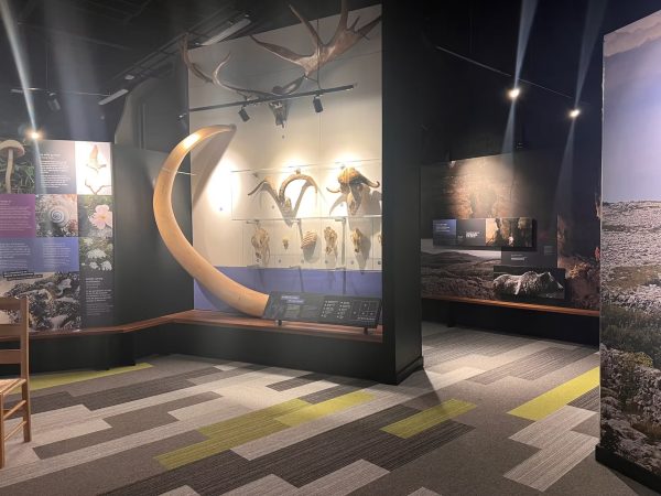 Burren Visitor Centre 12