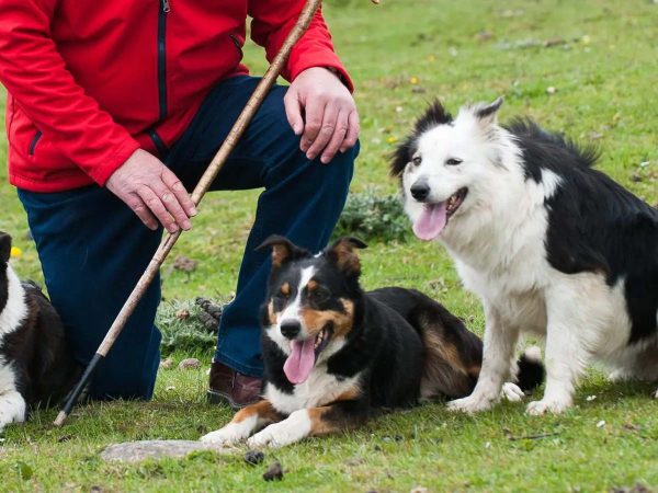 Caherconnell Stone Fort 12