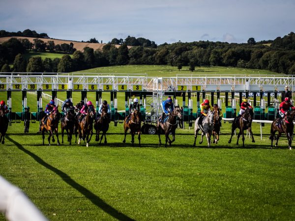 Chepstow Racecourse 4