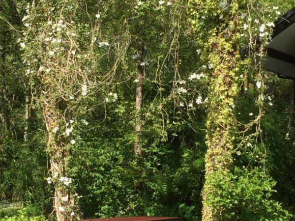 Cilbrwyn Countryside Retreat 10