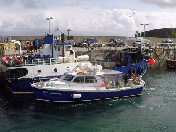 Clare Ireland Ferry Co 1