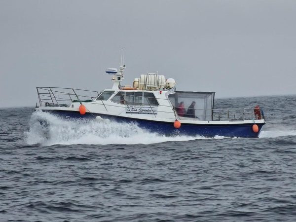 Clare Ireland Ferry Co 6