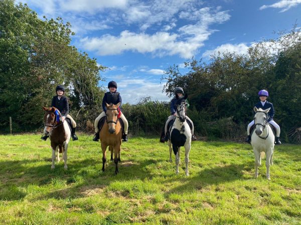 Clonshire Equestrian Centre 1