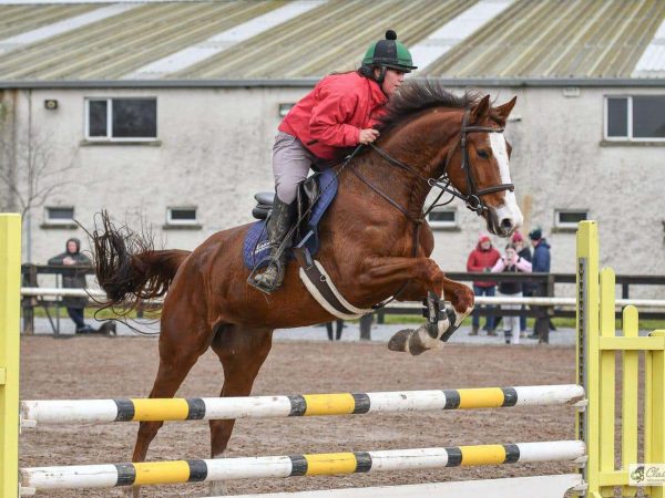 Clonshire Equestrian Centre 10