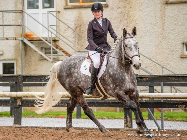 Clonshire Equestrian Centre 12