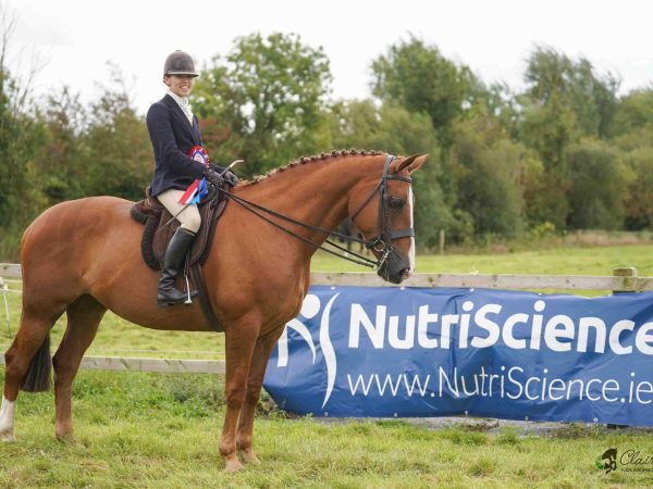 Clonshire Equestrian Centre 2