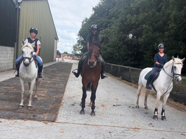 Clonshire Equestrian Centre 3