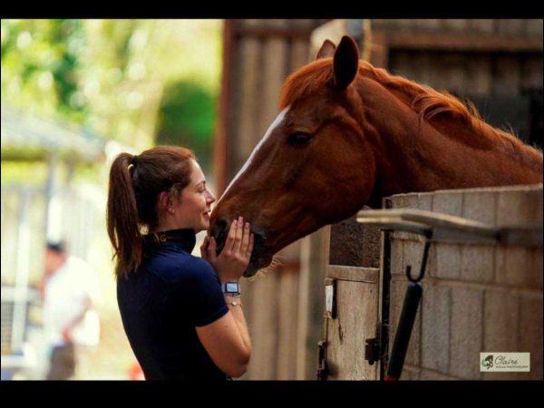 Clonshire Equestrian Centre 6
