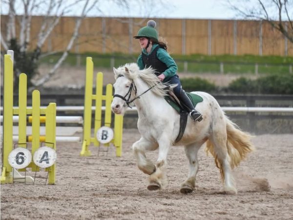 Clonshire Equestrian Centre 8