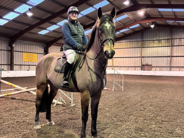 Clonshire Equestrian Centre 9