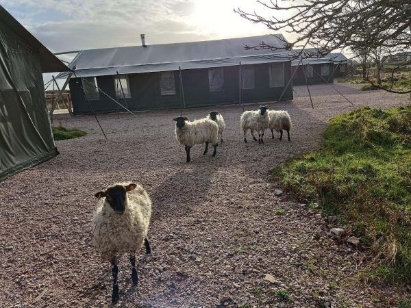 Connemara Glamping 8