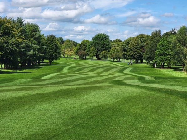 County Meath Golf Club 12
