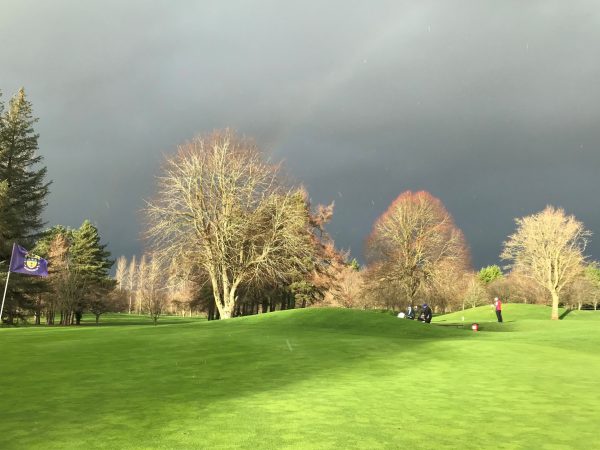 County Meath Golf Club 4