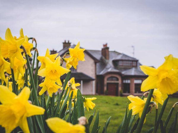 Creeve House Country Guest House 1