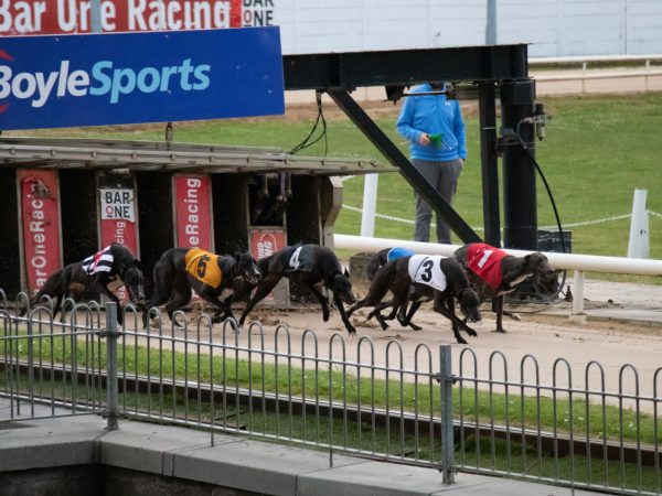 Curraheen Park Greyhound Stadium 4