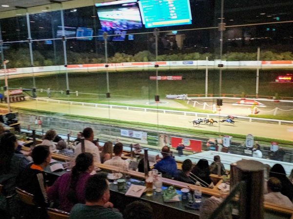 Curraheen Park Greyhound Stadium 5