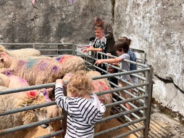 Cushendale Woollen Mills 4