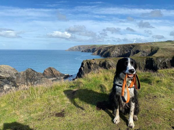 Cwm Connell Coastal Cottages 6