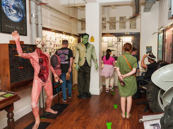 DSC06272 Avec accentuation Bruit