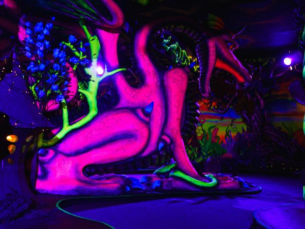 DSC06459 Avec accentuation Bruit