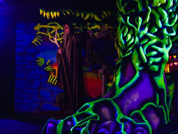 DSC06471 Avec accentuation Bruit Modifier