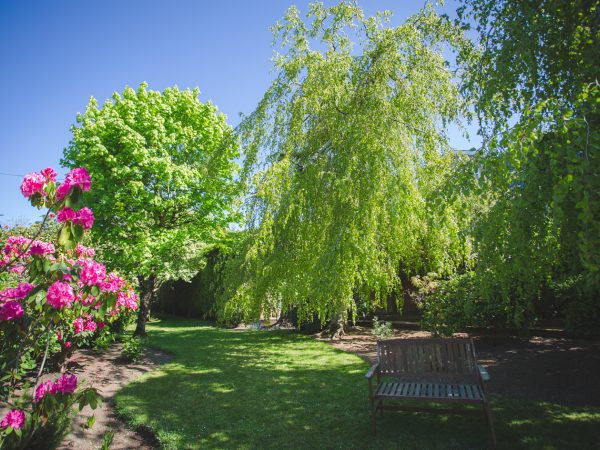 Diamond Hill Country House 9