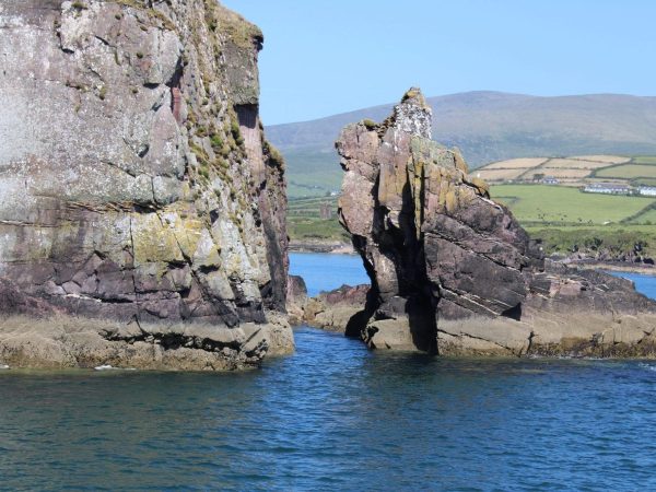 Dingle Dolphin Boat Tours 1