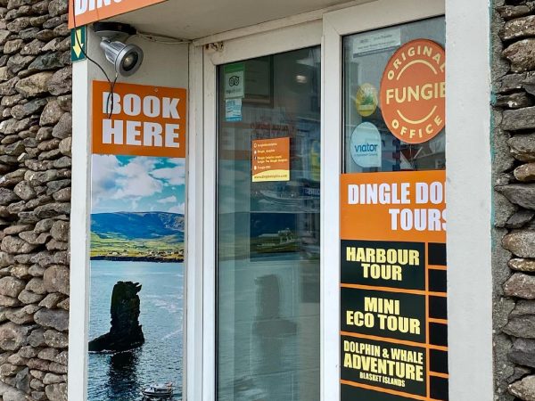 Dingle Dolphin Boat Tours 10