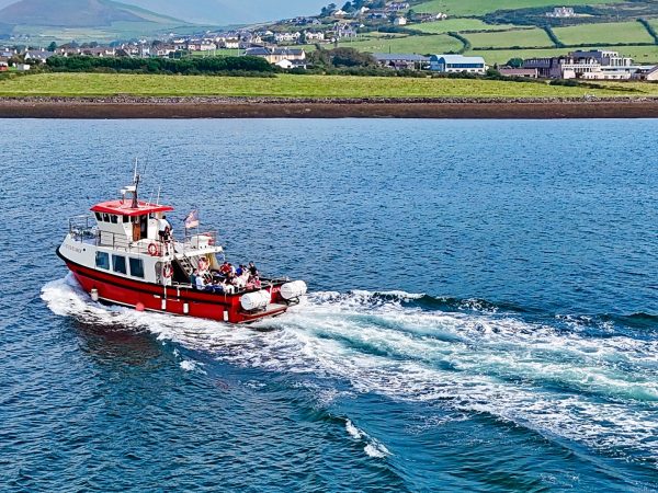 Dingle Dolphin Boat Tours 12