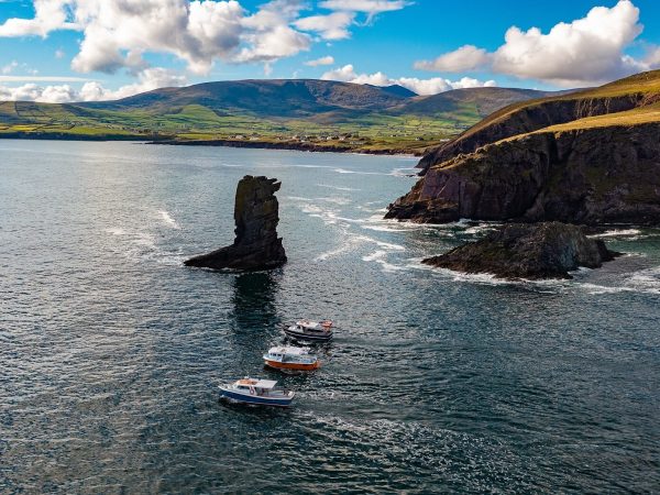 Dingle Dolphin Boat Tours 2
