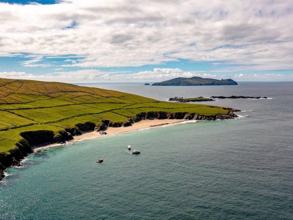 Dingle Dolphin Boat Tours 4