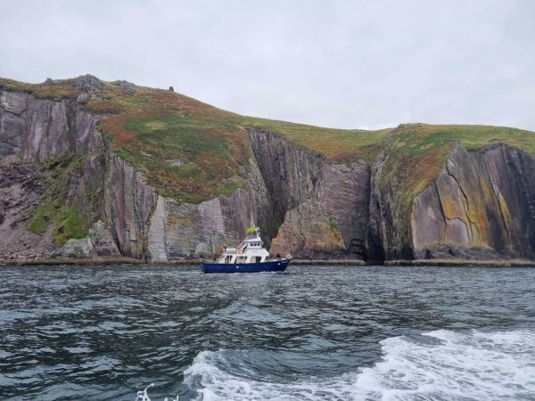 Dingle Dolphin Boat Tours 6