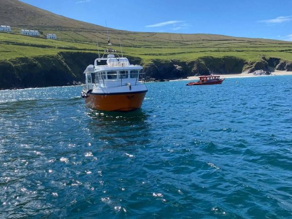Dingle Dolphin Boat Tours 7