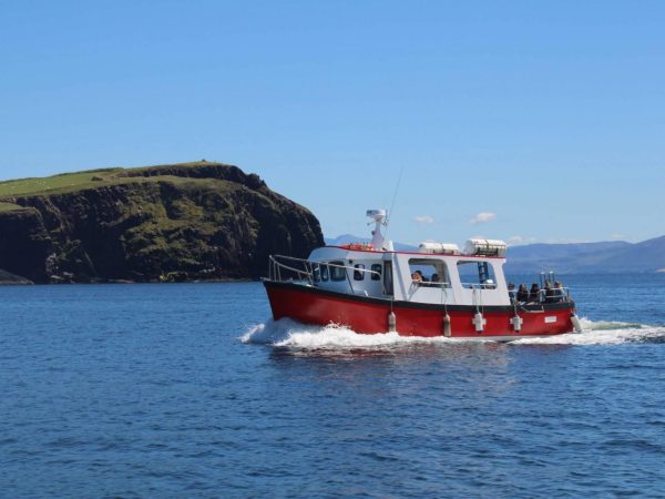 Dingle Dolphin Boat Tours 9