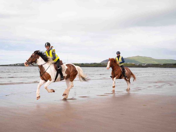 Dingle Horse Riding 1