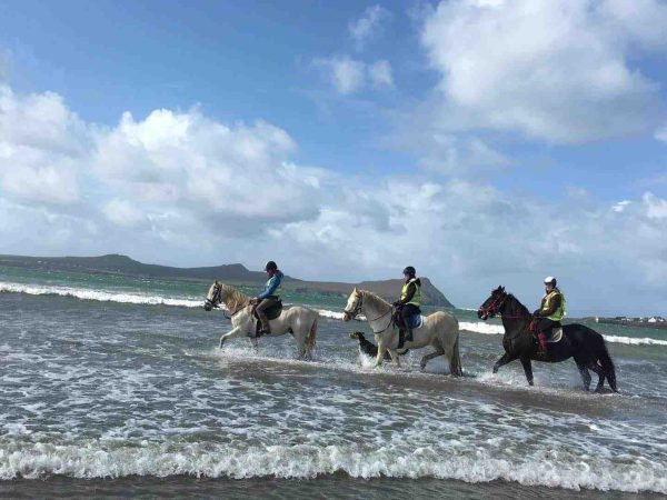 Dingle Horse Riding 2