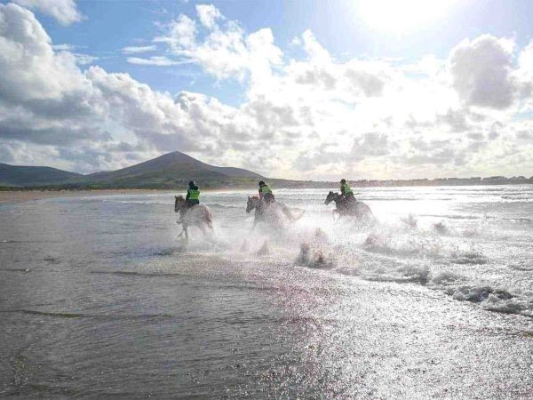 Dingle Horse Riding 3