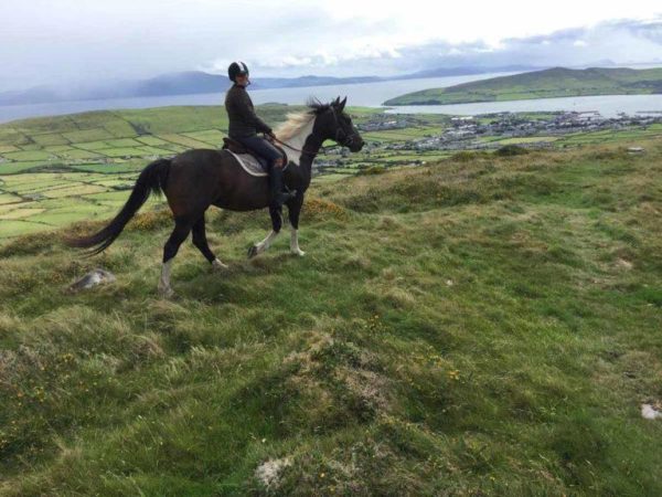 Dingle Horse Riding 4