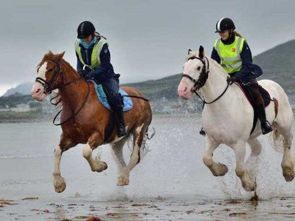 Dingle Horse Riding 5